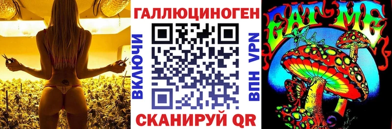 Купить где  Минусинск  Галлюциногенные грибы Cubensis 